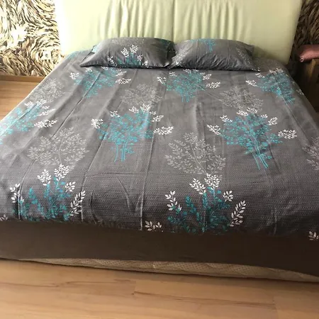 Jauna Teika Penthouse Apartament Ryga